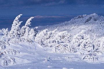 Fototapeta na wymiar Winter snowy forest on mountain plateau.