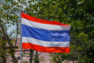 Thai flag of Thailand with tree background.