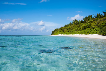 Fototapeta na wymiar Tropical beach with blue water and palm trees, Thinadhoo island, Vaavu Atoll, Maldives