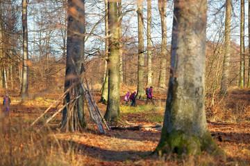 Utflykt i bokskog under sen höst © Björn Kristersson
