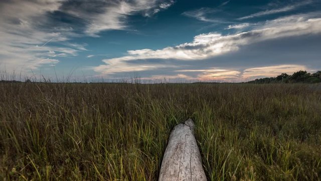 4K TL Tybee Log Sun Rise Over Grassy Marsh