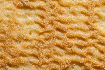 Shortbread. Texture close-up. Flat view.