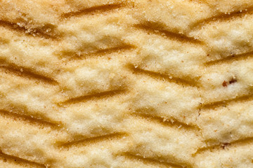 Shortbread. Texture close-up. Flat view.