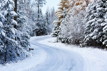 Country road in winter