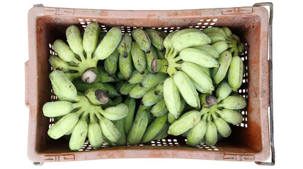 hand of fresh bananas