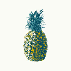 Hand drawn vector pineapple illustration