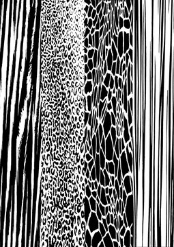 Leopard and giraffe textures,mixed