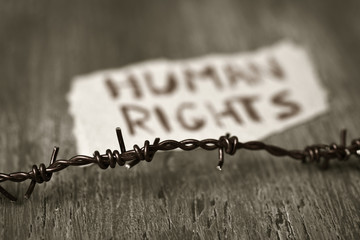 barbed wire and text human rights