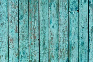 Fototapeta na wymiar Natural background in retro style turquoise dilapidated fence.