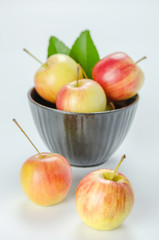 Red and yellow apple