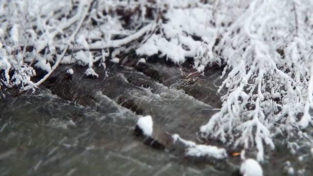 rivi&egrave;re en hiver
