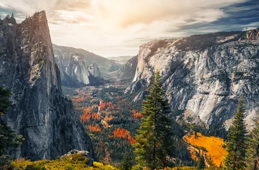 Muurstickers View of the valley of Yosemite National Park, USA © Dudarev Mikhail