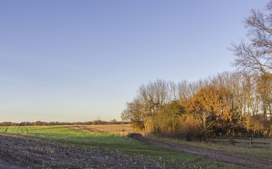 Naklejka premium Herbststimmung in Ritterhude