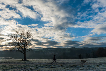 Man walking his dog during a frosty winter morning
