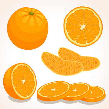 Set of vector orange. Whole, sliced, half of a orange fruit isolated on white background. Vector illustration.