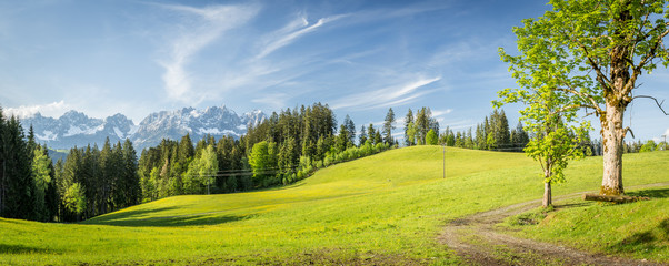 Panorama mit Blick auf die Berge Wilder Kaiser