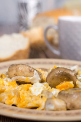 Macro closeup fried mushrooms with fried eggs on the plate