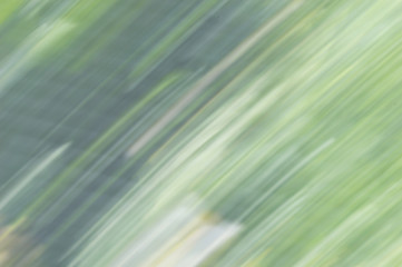 Blurred abstract background. Green purple and white.