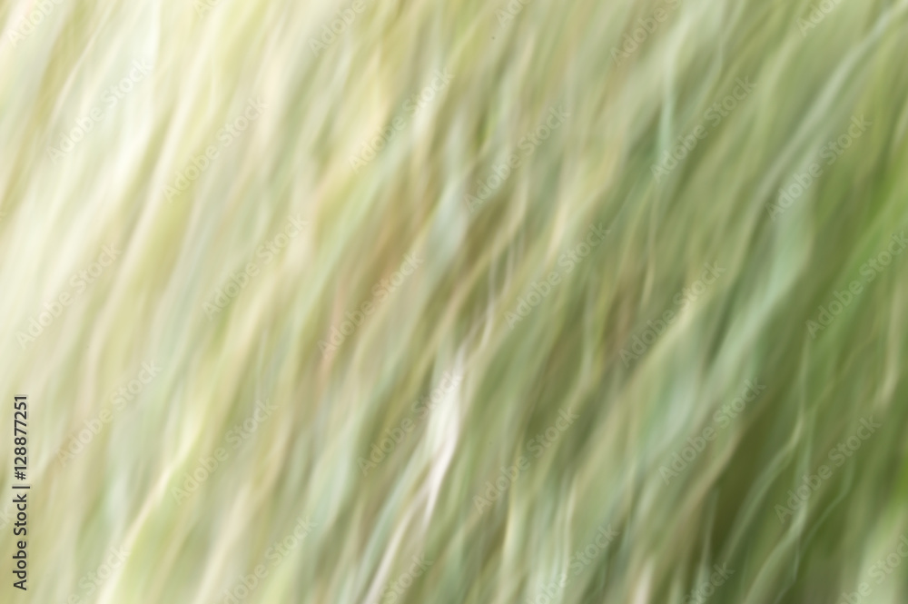 Wall mural blurred abstract background. texture ripples.