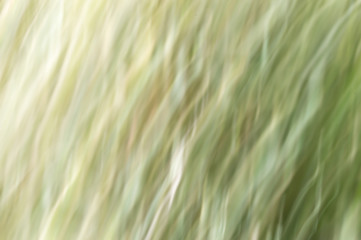 Blurred abstract background. Texture ripples.