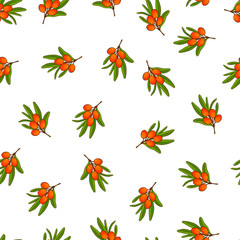Nice seamless pattern made of hand drawn seaberry branches.