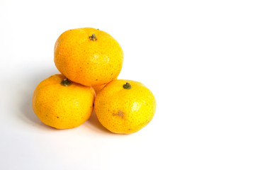 Group of mandarin orange (Citrus reticulata) on white background
