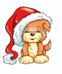 un cane con il cappello di Babbo Natale