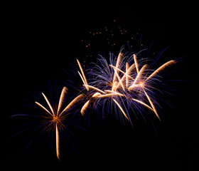 Fireworks in the night