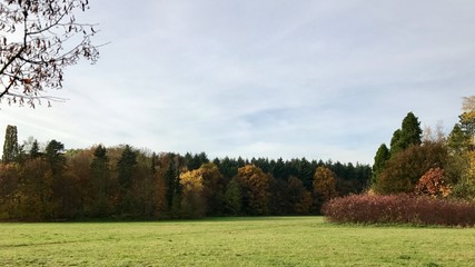 Obraz premium Herbstliches Panorama Wiese und Wald