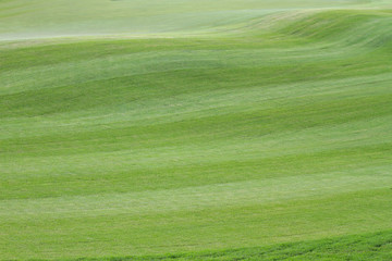Patterned grass on the golf course