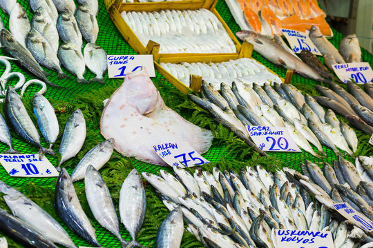 Balık Pazarı