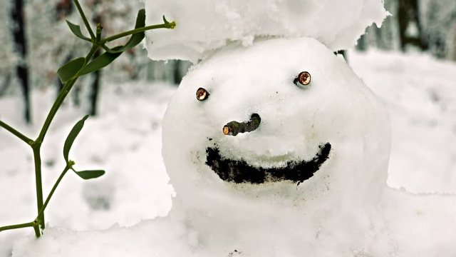 Face of happy snowman with mistletoe in snowy forest