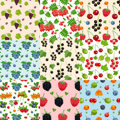 Set Of Nine Seamless Berries Patterns