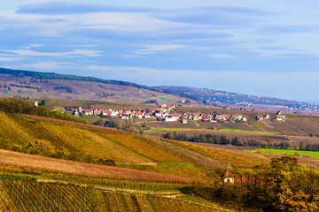 Vignoble d'Alsace Dambach la Ville