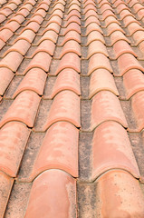 Fototapeta premium New roof with orange ceramic tiles