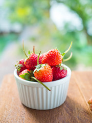 strawberries in natural background