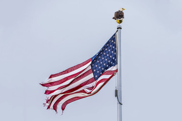 Eagle on torn flag