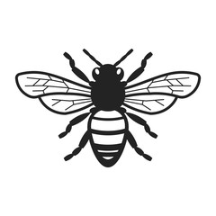 Honey Bee Illustration