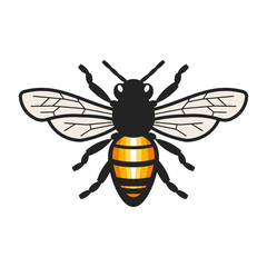 Honey Bee Illustration