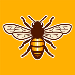 Honey Bee Illustration