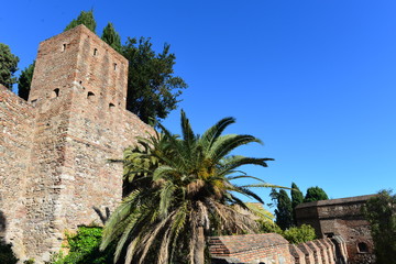 Fototapeta na wymiar Alcazaba (Málaga)