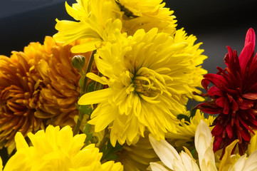 bouquet of colorful autumn flowers