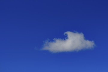The white cloud in the blue sky.