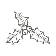 Christmas holly plant drawing vector