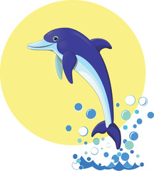 dolphin