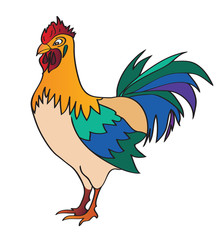 Illustration of a rooster