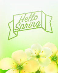 Spring blurred background with flowers