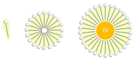 Micelle mit Öltröpfchen