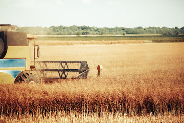 Agricultura machine working in fields