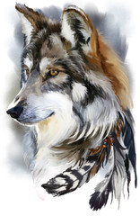 Obrazy  Akwarela malarstwo wilka